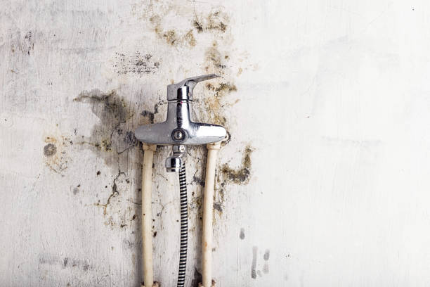 Best HVAC Mold Remediation in Cambridge, MN
