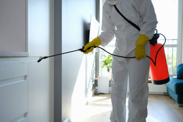 Best Residential Mold Remediation in Cambridge, MN