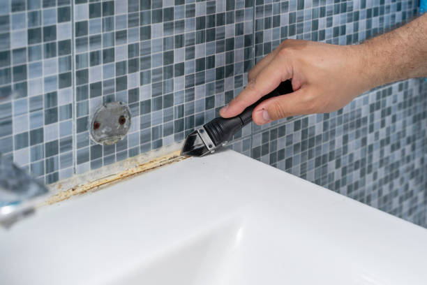 Best DIY Mold Remediation Support Services in Cambridge, MN